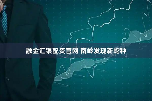 融金汇银配资官网 南岭发现新蛇种