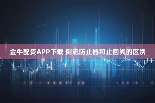 金牛配资APP下载 倒流防止器和止回阀的区别